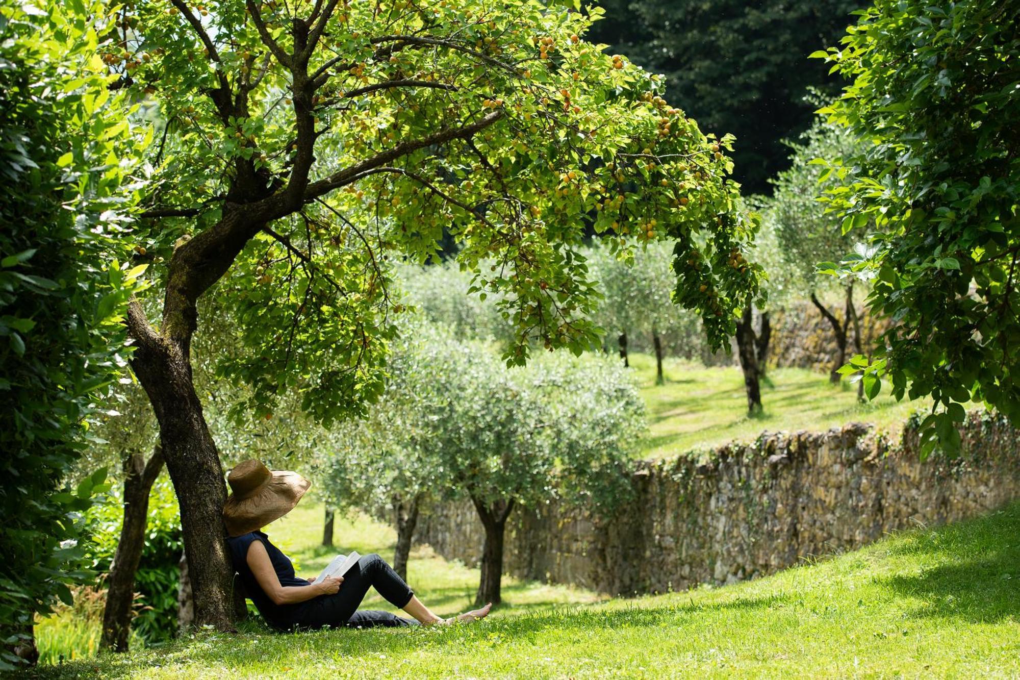 Villa Angelica Riva del Garda Bagian luar foto